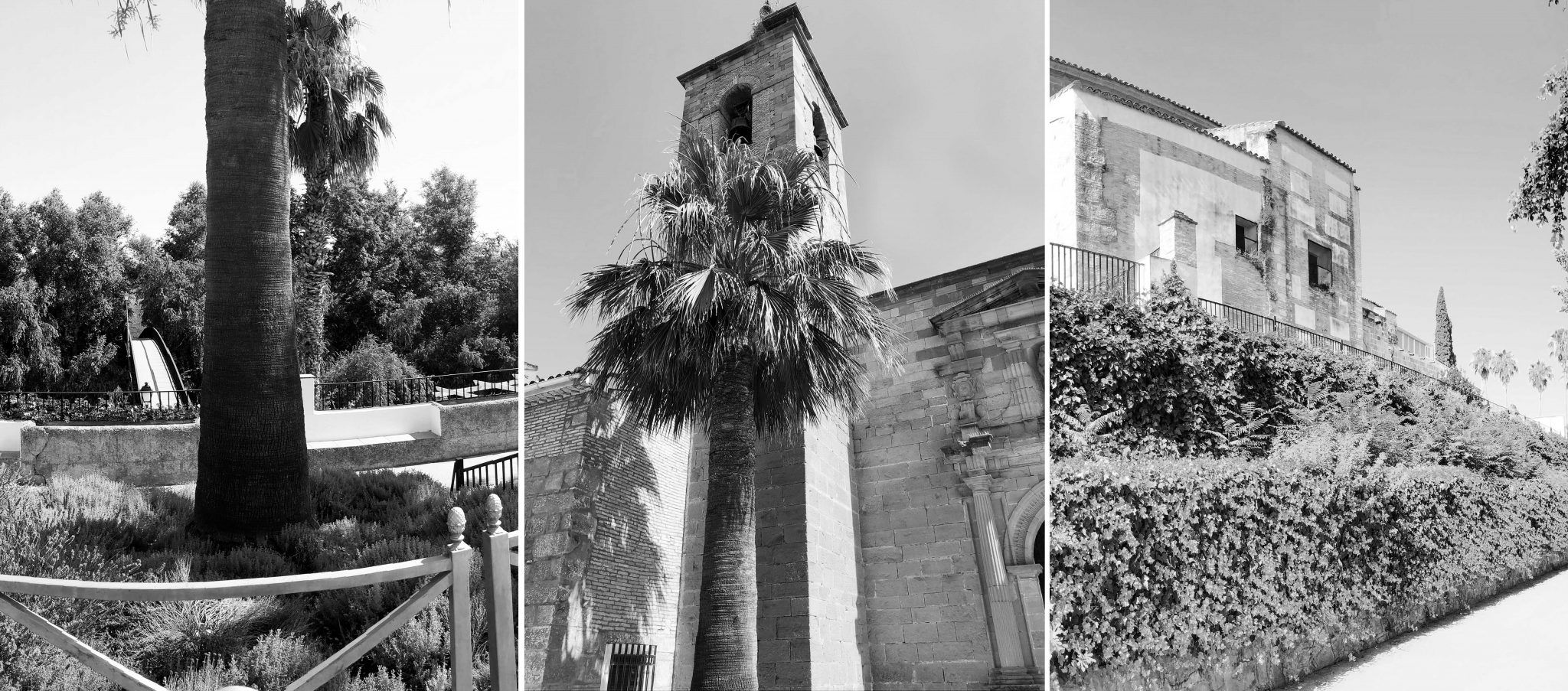 Estudio de Detalle Villanueva de la Reina_Fotografias