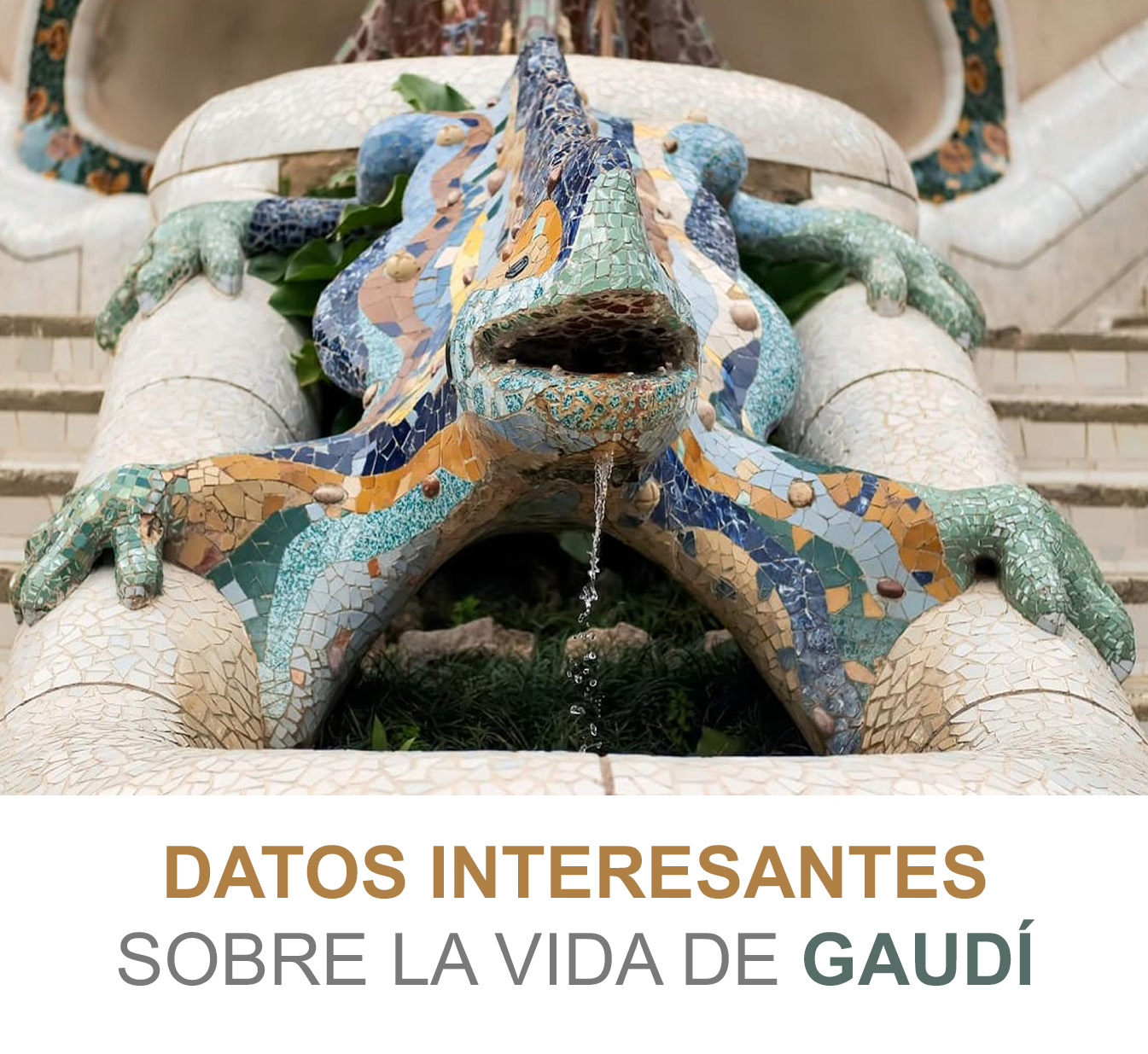 jmmelendezarquitectos_gaudiportada
